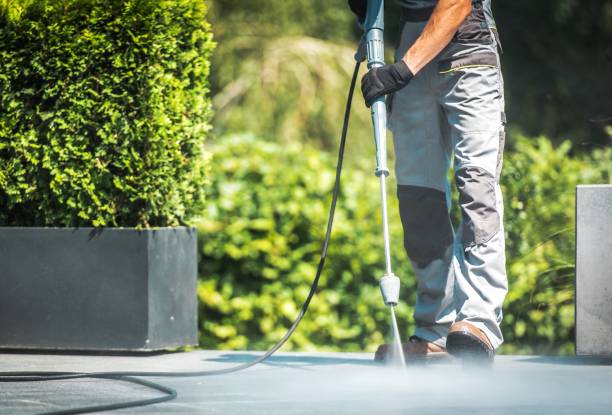 Best Vinyl Siding Pressure Washing in Trappe, MD
