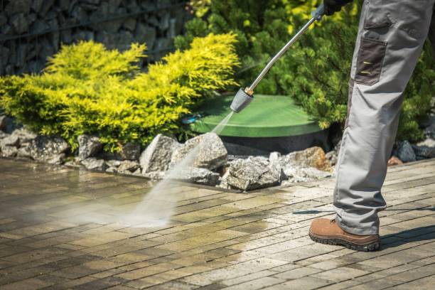 Best Pool Deck Cleaning in Trappe, MD